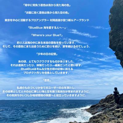 ふるさと納税 館山市 ブルーブルールアーラトリンNarage65 サンセットダイヤモンド富士 ふるさと納税限定カラー |  | 03