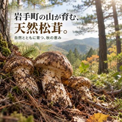 ふるさと納税 岩手町 【2027年9月より順次発送】岩手町産 天然松茸 400g |  | 02