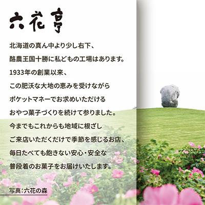 ふるさと納税 中札内村 六花亭六花セレクションC 1セット(1セット:マルセイバターサンド20個+マルセイバターケーキ5個) |  | 03