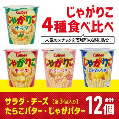 ふるさと納税 茨城町 じゃがりこ 4種食べ比べ サラダ・チーズ・たらこバター・じゃがバター 12個(各種3個入) カルビー