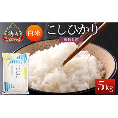 ふるさと納税 豊郷町 コシヒカリ 白米 5kg