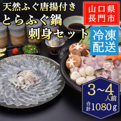 ふるさと納税 長門市 天然ふぐ唐揚付き とらふぐ鍋・とらふぐ刺身セット3-4人前/冷凍
