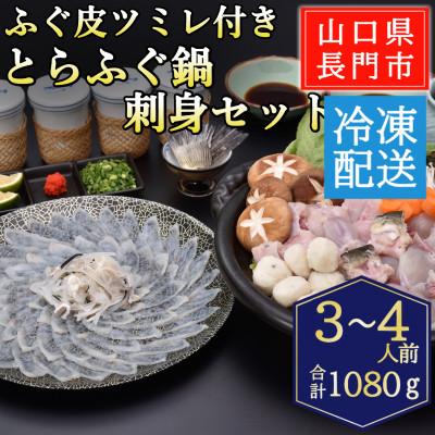 ふるさと納税 長門市 ツミレ付き とらふぐ鍋・とらふぐ刺身セット3-4人前/冷凍