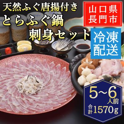ふるさと納税 長門市 天然ふぐ唐揚付き とらふぐ鍋・刺身セット5-6人前/冷凍