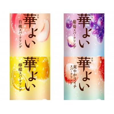 ふるさと納税 御殿場市 キリン酎ハイ12種贅沢セット350ml(12種×各2本)　氷結・本搾り・華よいシリーズ |  | 03