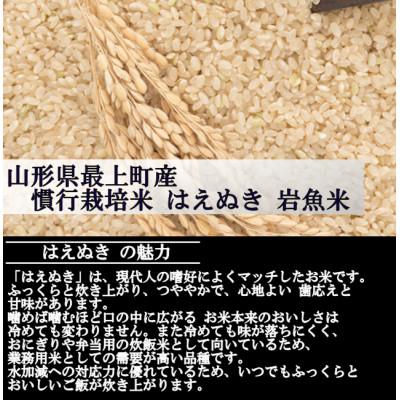 ふるさと納税 最上町 新米　令和8年産 慣行栽培米 はえぬき　玄米 20kg　山形県産　西塚農場 |  | 01