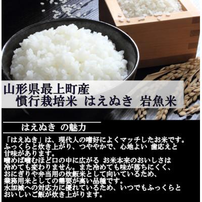 ふるさと納税 最上町 新米　令和8年産 慣行栽培米 はえぬき　白米 20kg　山形県産　西塚農場 |  | 01
