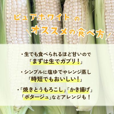 ふるさと納税 下妻市 【訳あり】下妻朝採りとうもろこし(ピュアホワイト)約6kg 約15-20本入 7月から発送 |  | 03