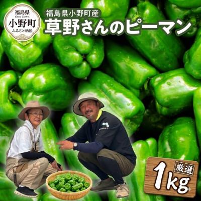 ふるさと納税 小野町 草野さんのピーマン 1kg
