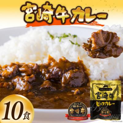 ふるさと納税 日向市 宮崎牛カレー(160g×10食) | 