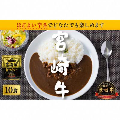 ふるさと納税 日向市 宮崎牛カレー(160g×10食) |  | 02