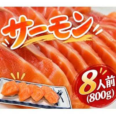 ふるさと納税 阪南市 刺身用サーモン 8人前(100g×8P) お寿司にも♪