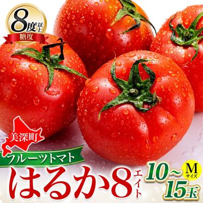 ふるさと納税 美深町 北海道産 糖度8度以上 フルーツトマト はるか8(エイト)約1kg 10玉〜15玉 2027年発送