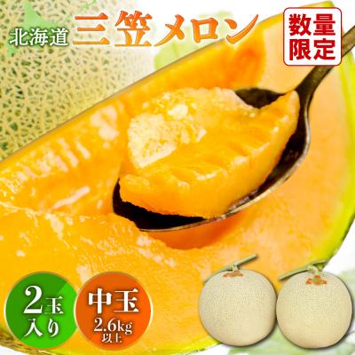 ふるさと納税 三笠市 [2026年分受付中]とろける食感!北海道三笠メロン2玉(2.6kg以上)