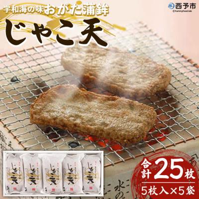 ふるさと納税 西予市 <宇和海の味 おがた蒲鉾 じゃこ天詰合せ(ギフト可)> 魚 魚介 天ぷら おつまみ 郷土料理