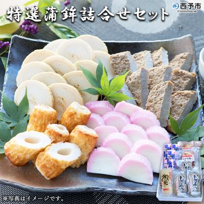 ふるさと納税 西予市 <伊予蒲鉾 特選蒲鉾詰合せセット> かまぼこ ちくわ じゃこ天 天ぷら 魚介 郷土料理