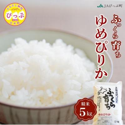 ふるさと納税 比布町 令和7年産 JAぴっぷ町 ゆめぴりか精米5kg