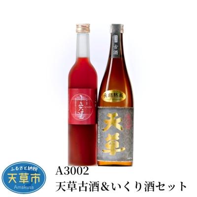 ふるさと納税 天草市 天草古酒&amp;いくり酒セット