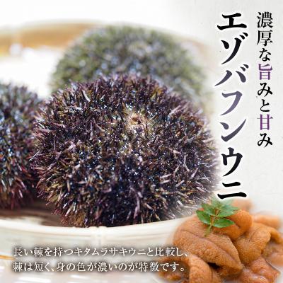 ふるさと納税 釧路市 生えぞバフンうに塩水詰め100g×3 F4F-3214の画像