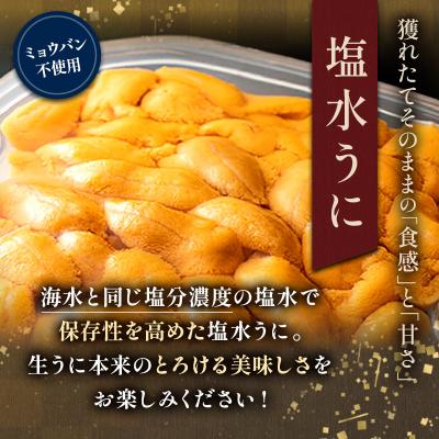 ふるさと納税 釧路市 生えぞバフンうに塩水詰め100g×3 F4F-3214の画像