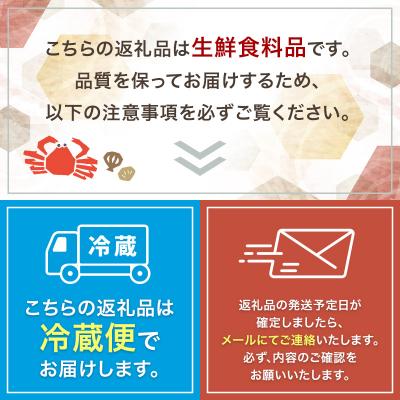 ふるさと納税 釧路市 生えぞバフンうに塩水詰め100g×3 F4F-3214の画像