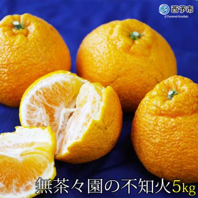 ふるさと納税 西予市 <無茶々園の不知火(デコポン) 3kg> 柑橘 フルーツ 果物 愛媛 期間限定