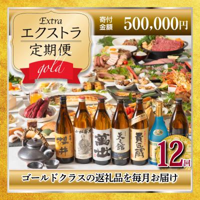 ふるさと納税 南さつま市 [定期便]エクストラ定期便ゴールド