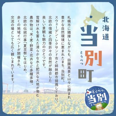 ふるさと納税 当別町 乳歯入れ_tb25-001_2