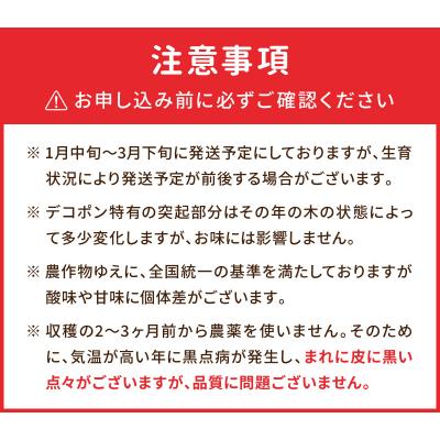ふるさと納税 天草市 天草産 デコポン 3kg〈先行受付〉_S053-002B |  | 02