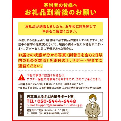 ふるさと納税 天草市 天草産 デコポン 3kg〈先行受付〉_S053-002B |  | 03