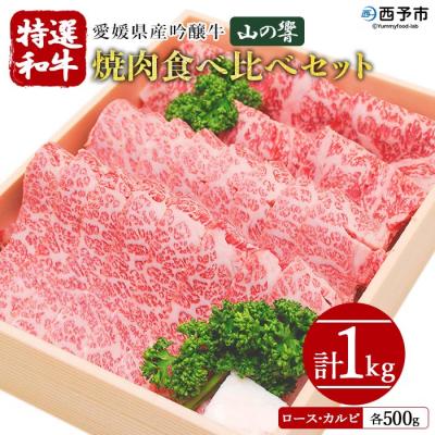 ふるさと納税 西予市 <愛媛県産吟醸牛「山の響」和牛焼肉食べ比べセット(国産黒毛和牛)> 国産 ロース カルビ やきにく