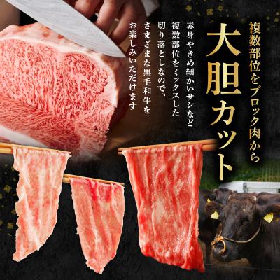 ふるさと納税 天草市 A4〜A5等級 黒毛和牛 切り落とし 1kg(500g×2P)_S001-001A |  | 02