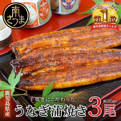 ふるさと納税 南さつま市 [鹿児島県産 鰻]うなぎ専門店「万のせ」 うなぎ蒲焼3尾(手焼き)