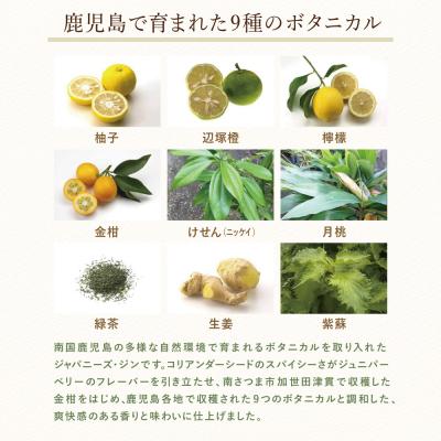 ふるさと納税 南さつま市 【ISC 2022 最優秀金賞受賞】「Japanese GIN 和美人」 ジャパニーズ・クラフトジン |  | 03
