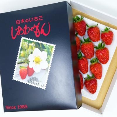 ふるさと納税 小郡市 いちご 白木のいちご しあわせもん おいCベリー 1箱 化粧箱入[No5354-0574]