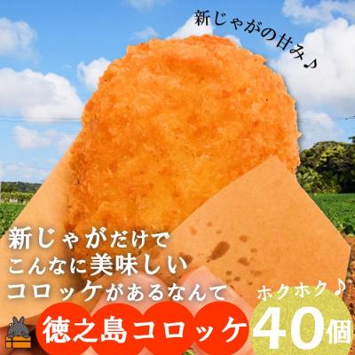 ふるさと納税 徳之島町 新じゃがだけでこんなに美味しい。徳之島コロッケ(40個) ( 惣菜 じゃがいも )