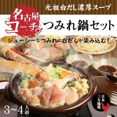 ふるさと納税 碧南市 元祖白だし濃厚スープ 名古屋コーチンつみれ鍋