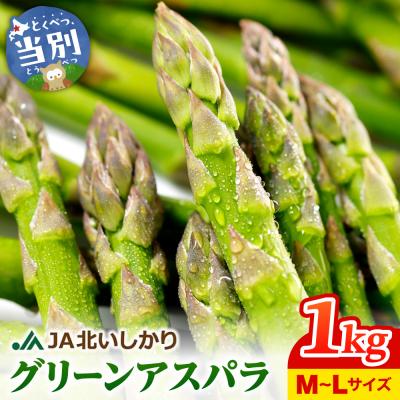 ふるさと納税 当別町 JA北いしかりグリーンアスパラ1kg_tb45-001