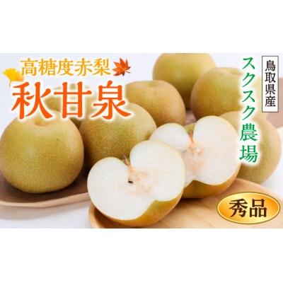 ふるさと納税 鳥取市 秋甘泉 秀品 2.5kg箱[スクスク農場]