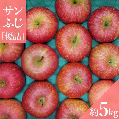 ふるさと納税 長井市 [2026年発送]「優品」山形のりんご(サンふじ)約5kg_H082(R8)