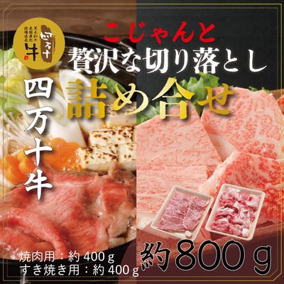 ふるさと納税 四万十市 四万十牛こじゃんと贅沢な詰め合せ(焼肉用・すき焼き用)計800g 26-020