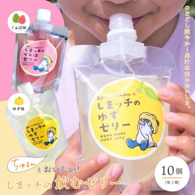 ふるさと納税 四万十市 しまッチの飲むゼリー10個入り 26