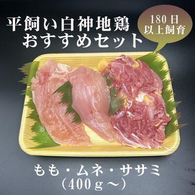 ふるさと納税 能代市 平飼い白神地鶏 おすすめセット 400g〜 1パック 