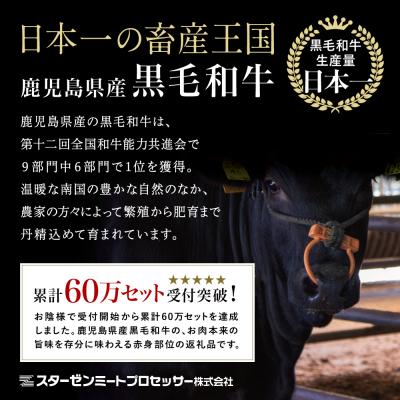 ふるさと納税 南さつま市 【鹿児島県産】黒毛和牛 赤身 もも スライス 600g すき焼き 冷凍 スターゼン |  | 03