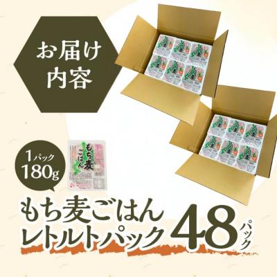 ふるさと納税 滝川市 【ごはんで腸活】もち麦ごはんレトルト48パック- |  | 02