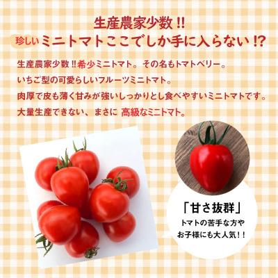 ふるさと納税 碧南市 【事前受付】甘さ抜群!で大人気　ミニトマト　トマトベリー　約800g　H004-220 |  | 01