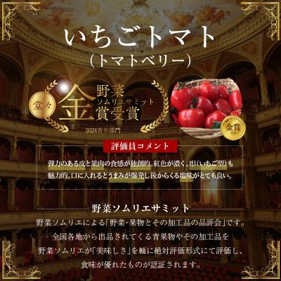 ふるさと納税 碧南市 【事前受付】甘さ抜群!で大人気　ミニトマト　トマトベリー　約800g　H004-220 |  | 02