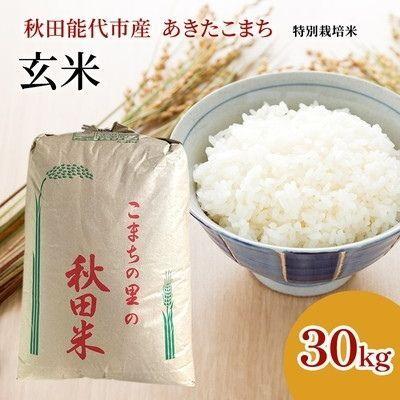 ふるさと納税 能代市 令和7年産 玄米 秋田県認証 特別栽培米 あきたこまち 30kg 