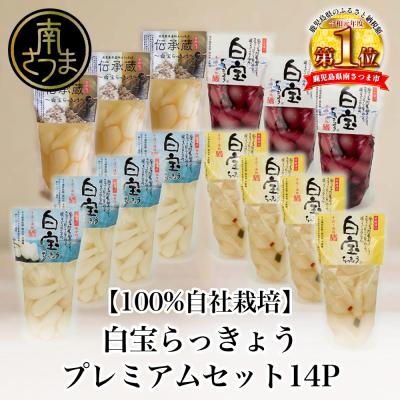 ふるさと納税 南さつま市 [鹿児島県産]白宝らっきょうプレミアムセット 14P(酢漬け・塩漬け各4P、しそ漬け・黒酢漬け各3P