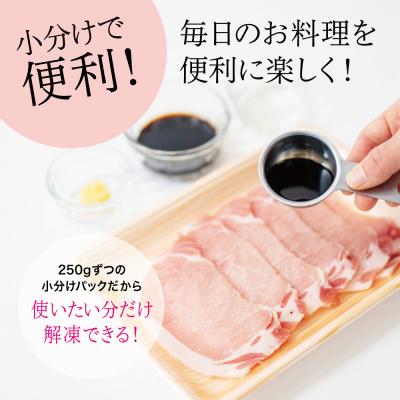 ふるさと納税 南さつま市 【鹿児島県産】豚肉3種 3kg(250g×12パック)肩ロースしゃぶしゃぶ 生姜焼き用 バラスライス |  | 02